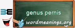 WordMeaning blackboard for genus pernis